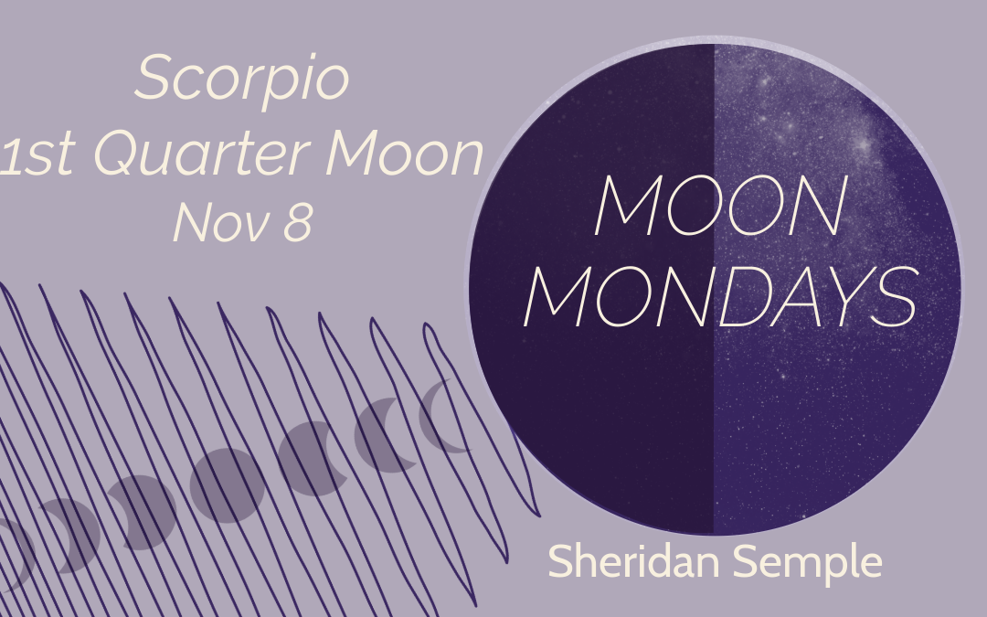 Moon Mondays — Nov 4, 2024