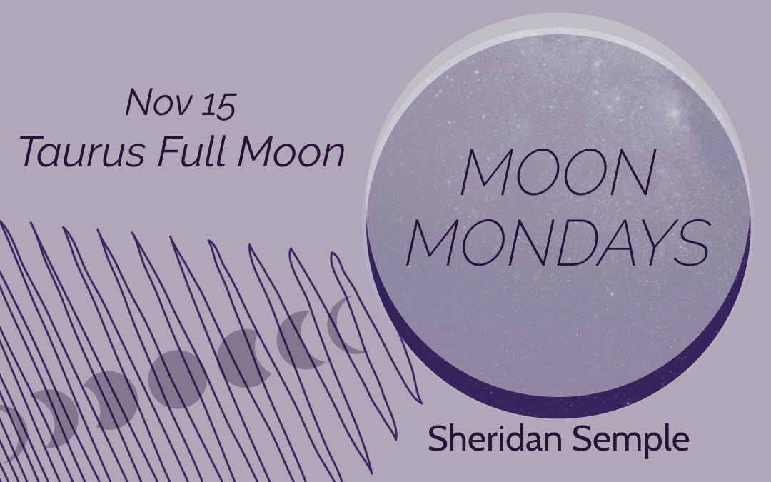 Moon Mondays — Nov 11, 2024