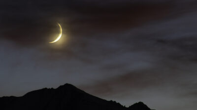 Group Divine Feminine Astrology Readings