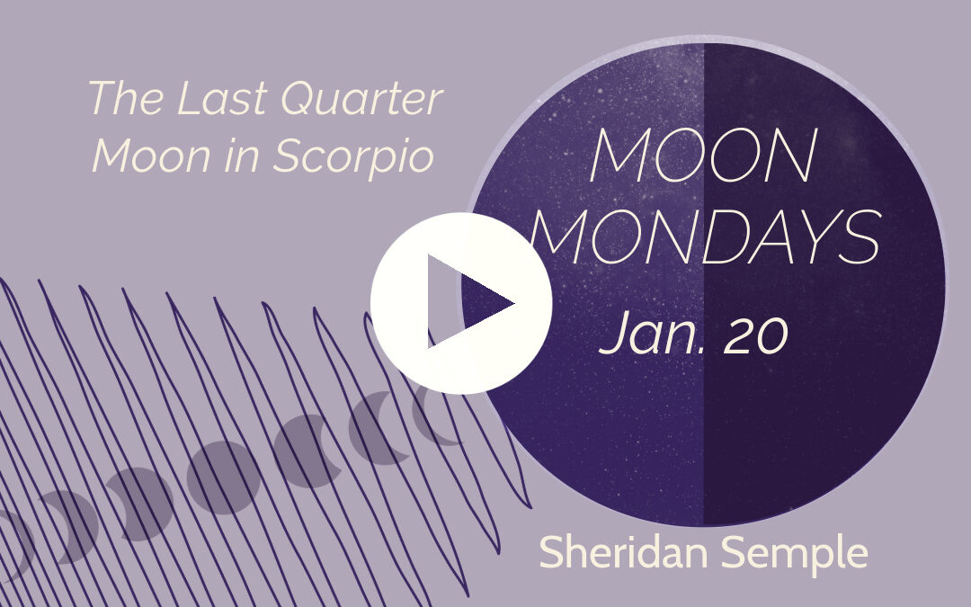 Moon Mondays – 1/20