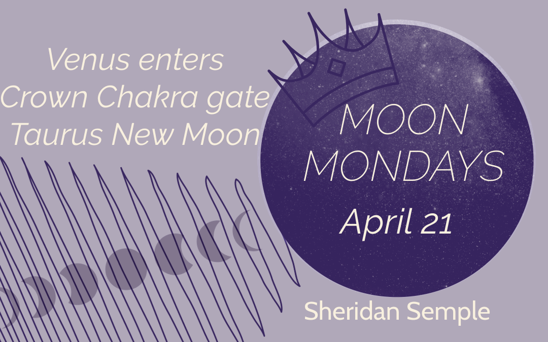 Moon Mondays—April 21, 2025