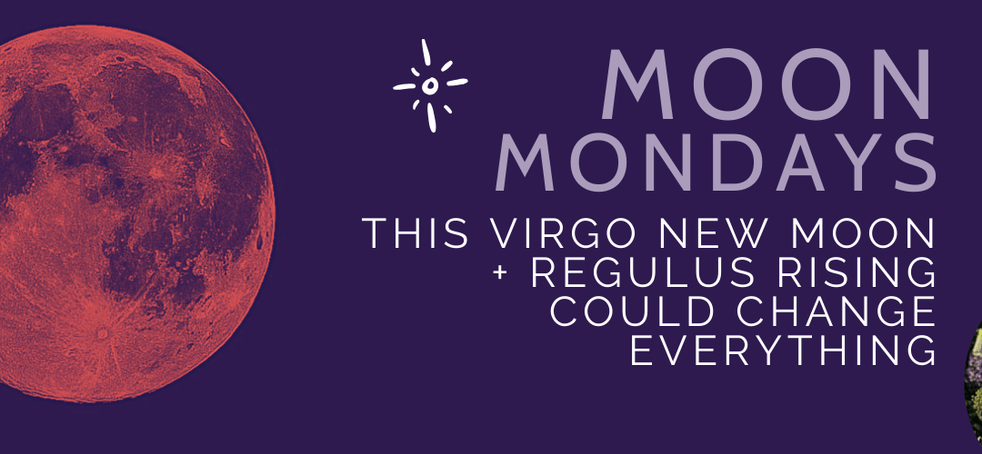 The Heart of the Lion Is Rising: Why This Week’s Virgo New Moon Could Change EVERYTHING for Your Soul Path
