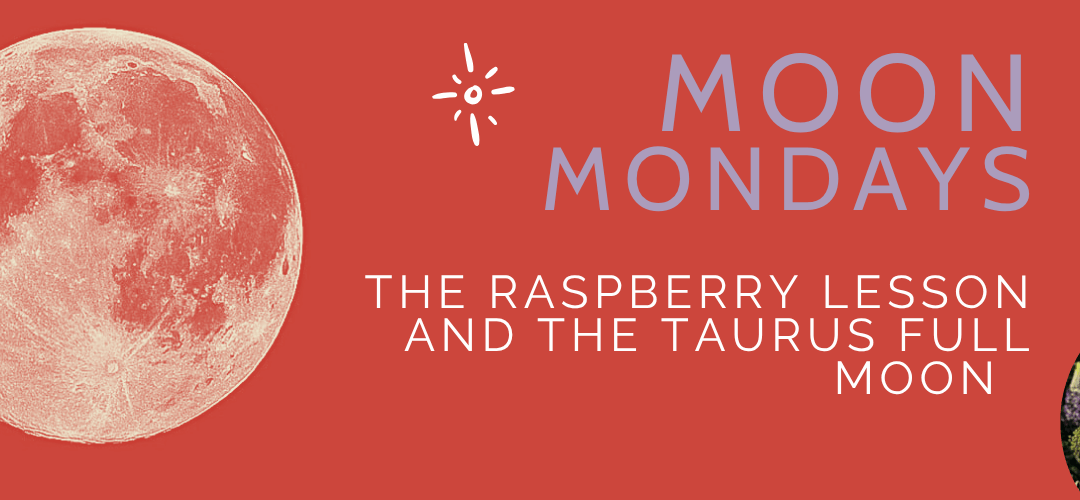 I Let My Raspberries Rot — and how the Taurus Full Moon Changes Everything 🍓 | Self-Worth and Moon Invitation